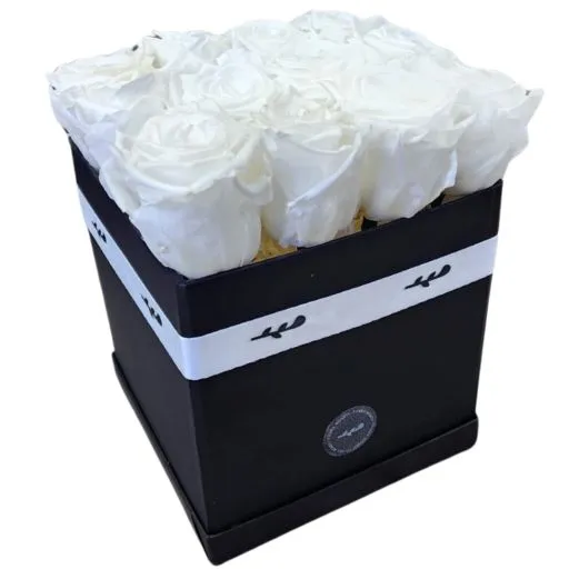 Caja black 12 rosas eternas blancas 